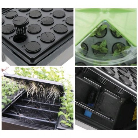 Nutriculture - X-Stream Aeroponic Propagator - 120 Site